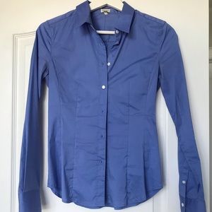 Aritzia Babaton blue fitted dress shirt, size 2